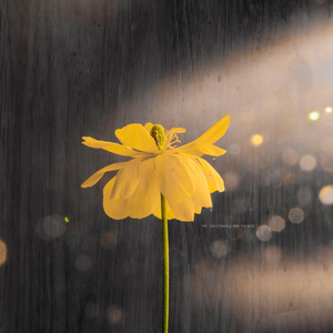 抖音网红露点走光在线
